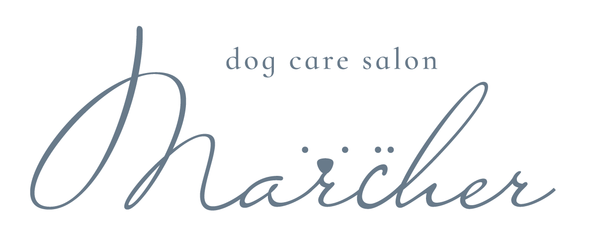 dog care salon Marcher